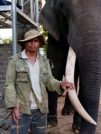 Mahout Elephant tourism